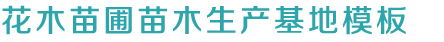 ku游九洲